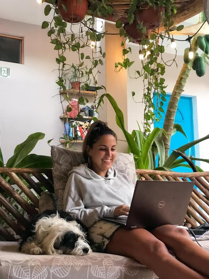 Barco Verde Hostel Isla Holbox Екстер'єр фото