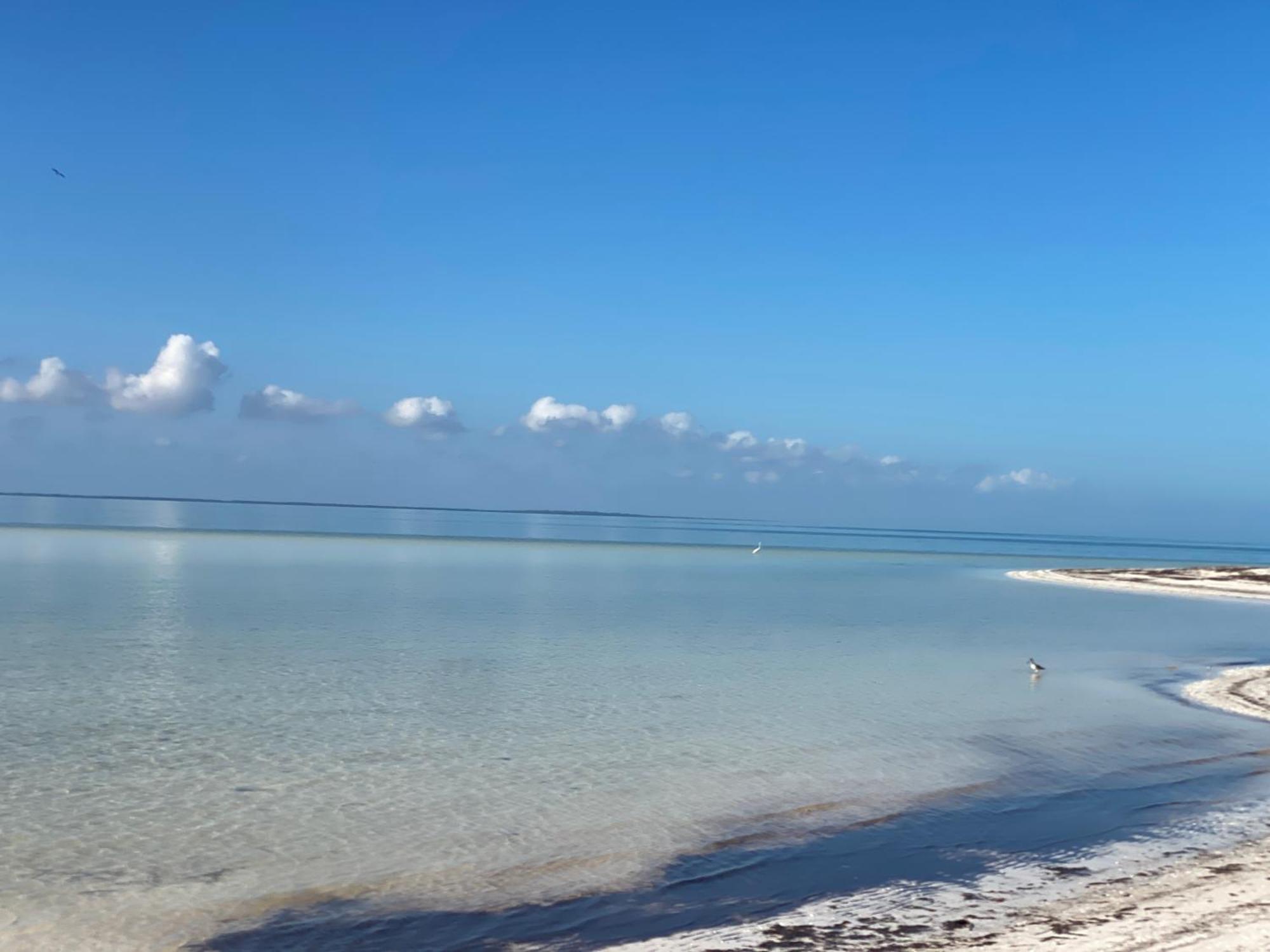 Barco Verde Hostel Isla Holbox Екстер'єр фото