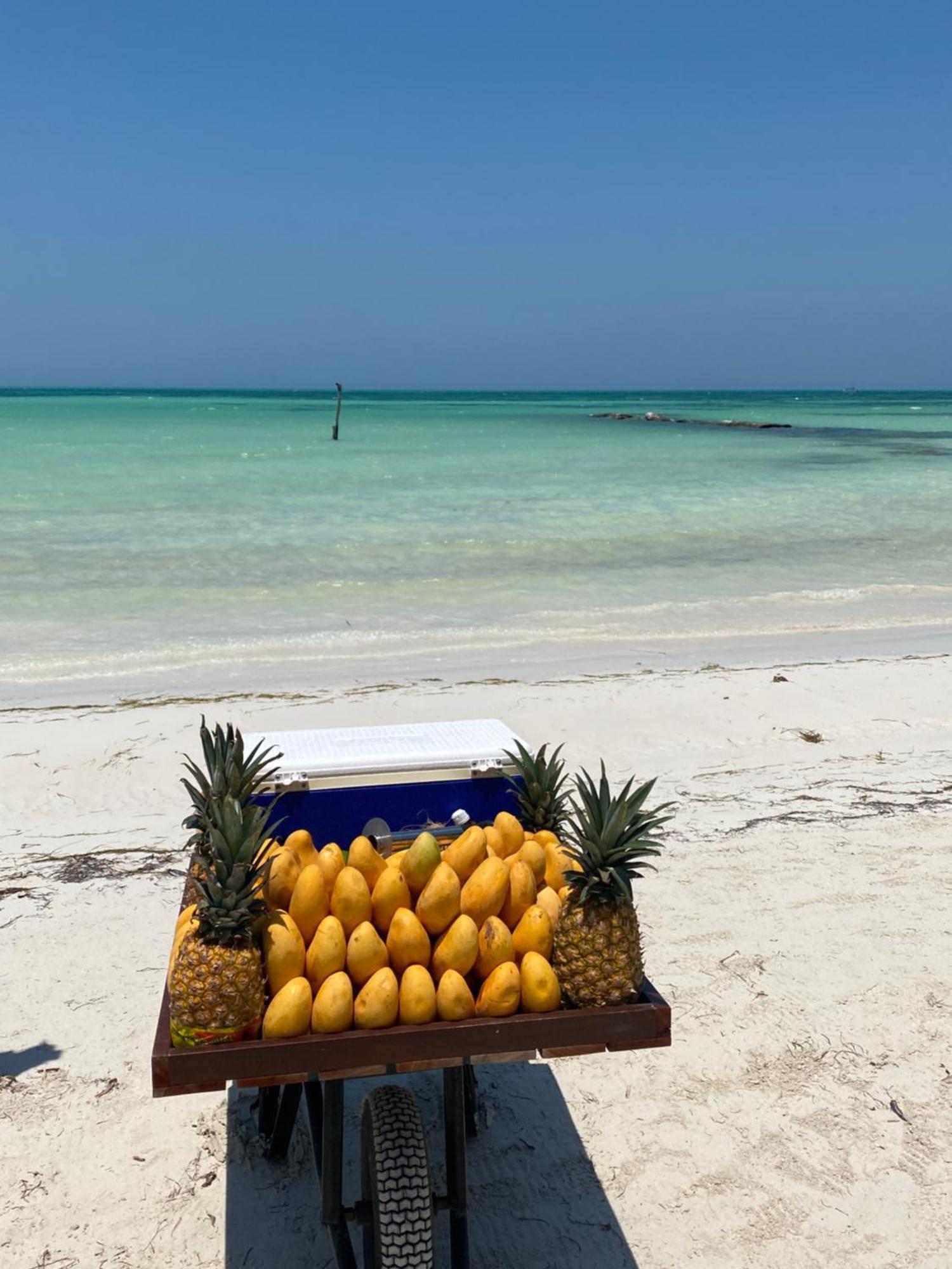 Barco Verde Hostel Isla Holbox Екстер'єр фото